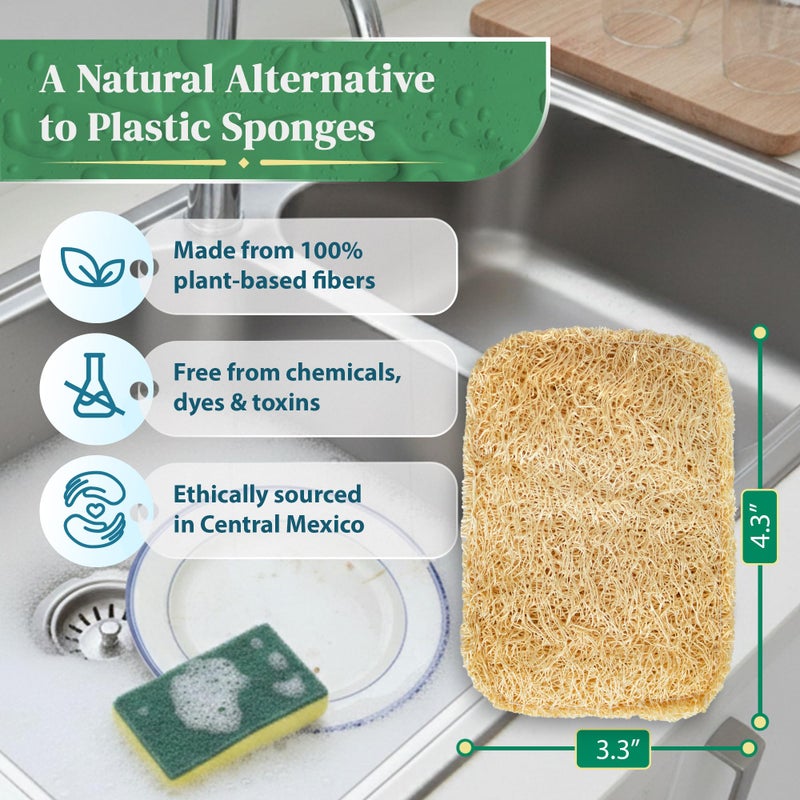 LooLife Natural Loofah Kitchen Sponge (3 Pack) - Natural Sponges for Dishes - Eco Friendly and Compostable Sponges - Biodegradable Plant Based Kitchen Dish Sponge - Plastic Free Dish Scrubber - Image 2